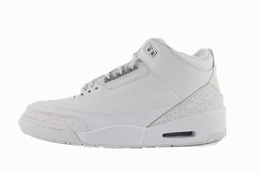 Anti Odor Air Jordan 3 "Pure Money"