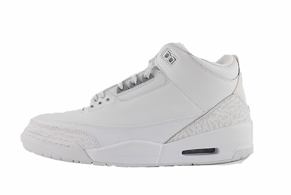 Anti Odor Air Jordan 3 "Pure Money"