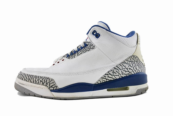 field shoes Air Jordan 3 "True Blue" (2001)