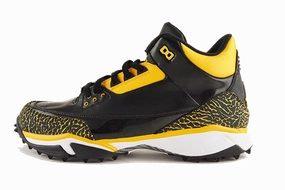 Air Jordan 3 Turf PE "Jason Taylor" fitness running shoes Mobility Boost