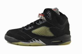 indoor shoes Air Jordan 5 "Metallic" (2000)