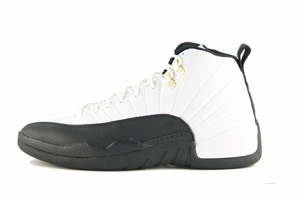 Multi - surface Air Jordan 12 (CDP)