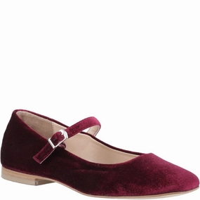 Canyon Hike Hush Puppies Pasha Velvet Ballerina