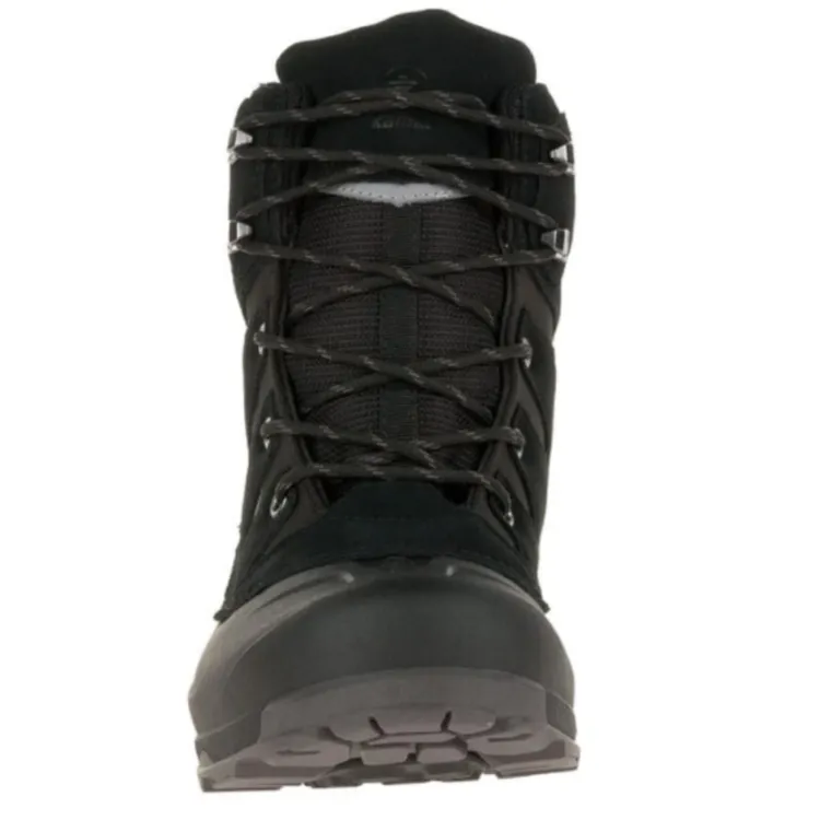 Labrador Black Korean Trend