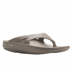 Pet Walk Weave Style OOriginal Nomad