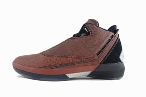 running in a stone bridge area shoes style shoes Air Jordan 22 "Basketball"