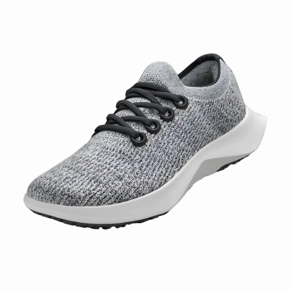 Light Run Tidy Lines Men's Tree Dasher 2 Blizzard/Natural Black/Blizzard